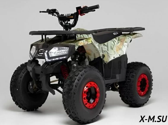 Квадроцикл WELS THUNDER E2X