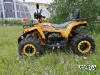 Квадроцикл PROMAX STORM 300сс LUX