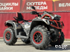 Квадроцикл AODES Pathcross ATV650L MUD PRO EPS, двухместный