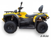 Квадроцикл HISUN GUARDIAN 400L /LONG