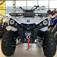 Квадроцикл PROMAX RENEGADE 300 WINCH
