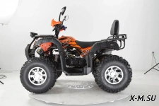 Квадроцикл YACOTA SELA MAX 200