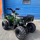 Квадроцикл RAPTOR max 125