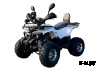 Квадроцикл HAMMER 170 MAX