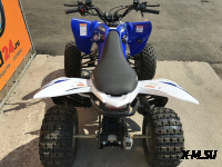 Квадроцикл ABM SCORPION 125M