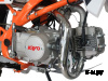 Питбайк KAYO BASIC TT125EM 17/14 KRZ (механ. сцепл., эл. стартер 2022 г.)