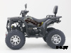 Квадроцикл Nishman 250 PRO G