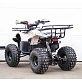 Квадроцикл STALKER 125 Fox