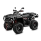 Квадроцикл AODES PATHCROSS 1000 LCD, одноместный