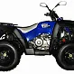 Квадроцикл ADLY 320 U 2WD (с цепным приводом)
