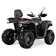 Квадроцикл TAO MOTOR 200 Ranger