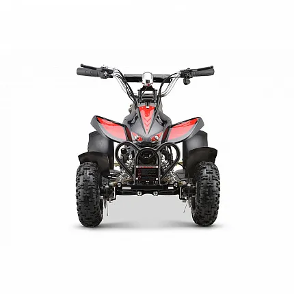 Электроквадроцикл детский SIMARGL ELEKTRO Beatle